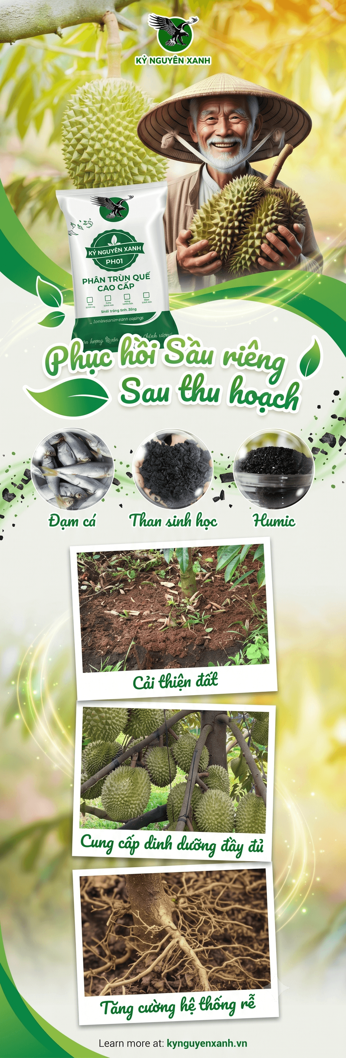 Sầu Riêng Miền Tây Bao Ăn